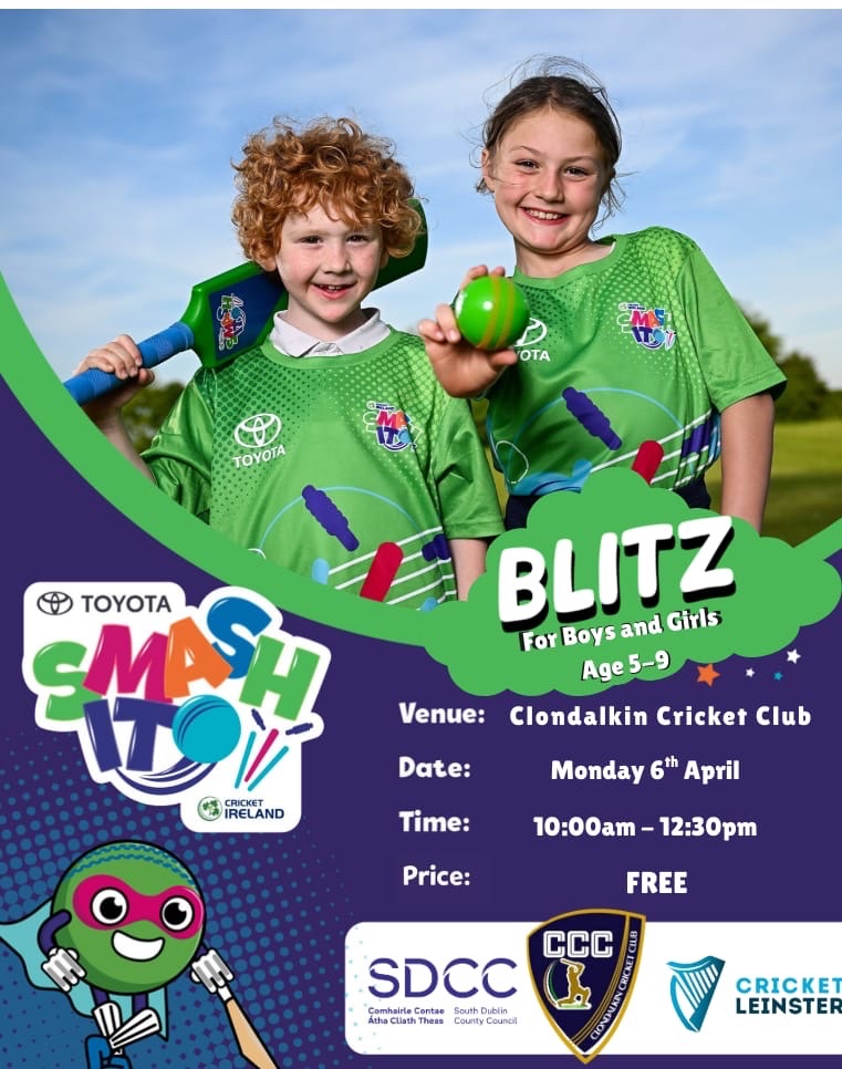 Cricket Leinster tweet media