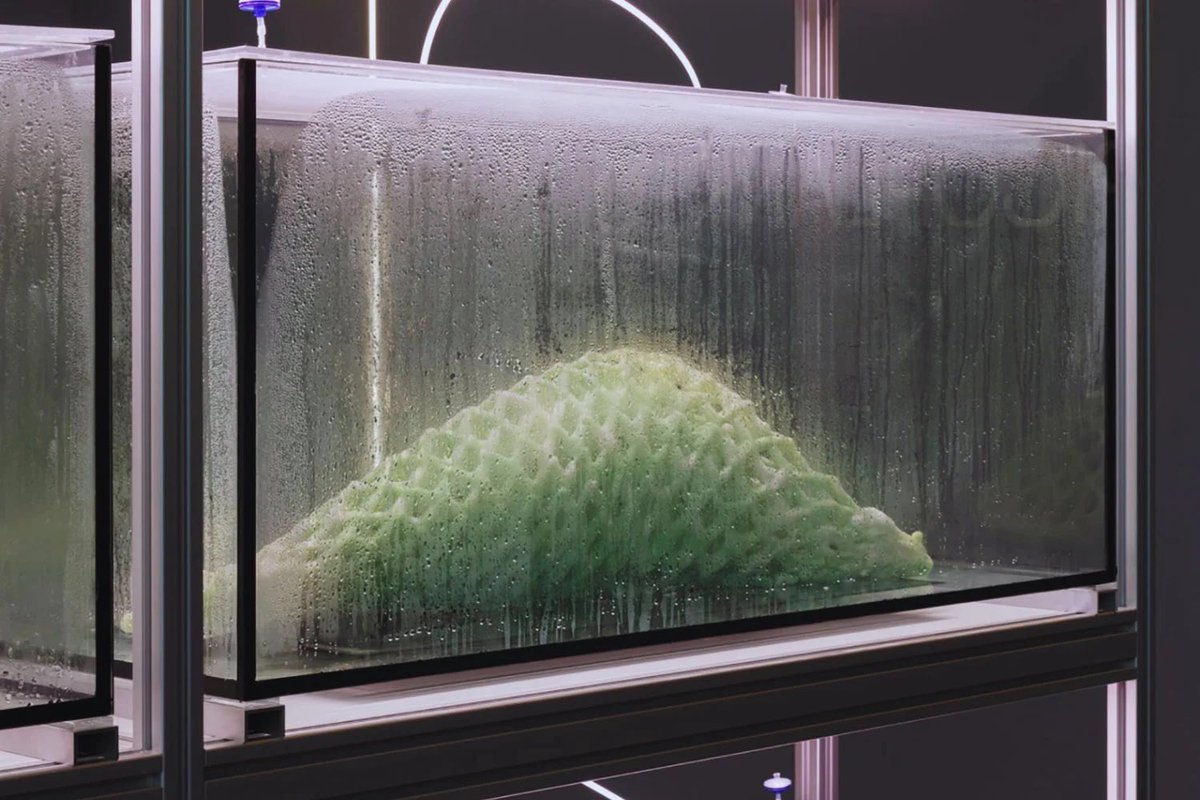 🚨: Des scientifiques ont créé un matériau de construction vivant qui pousse, respire et répare ses propres fissures. 

Oubliez le béton !

(DailyGalaxy)