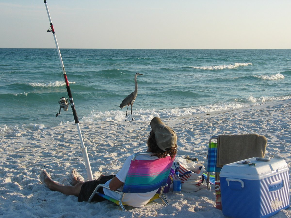 VISIT FLORIDA tweet media