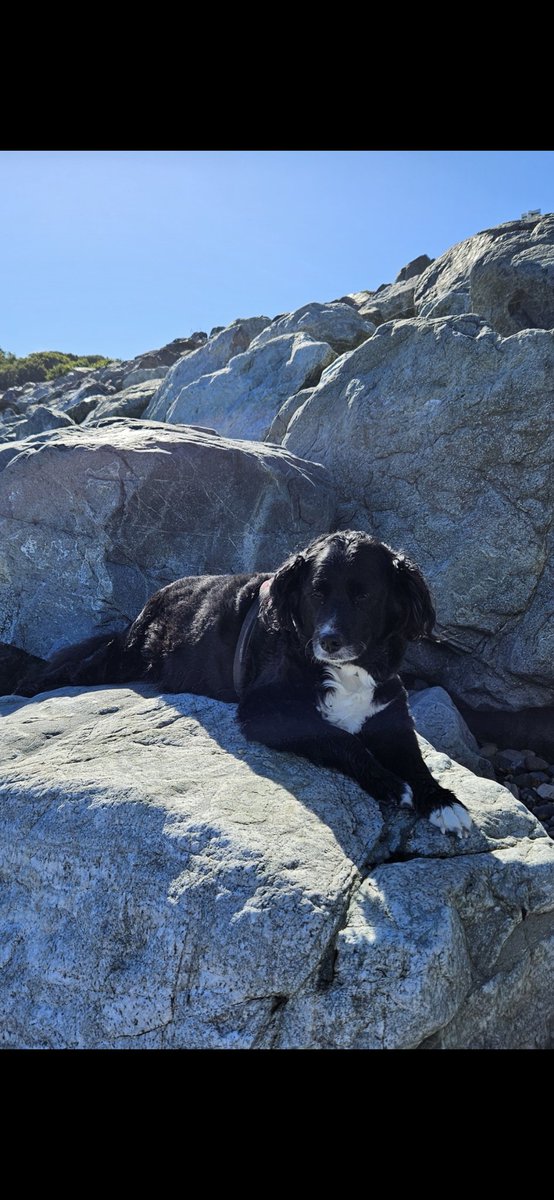 Sam 💗☀️😎🏖 tweet media