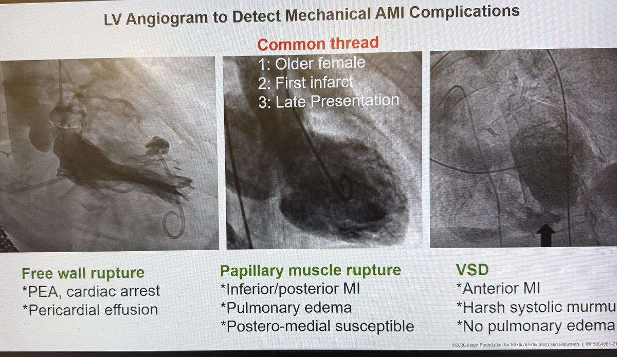 mandeep singh tweet media