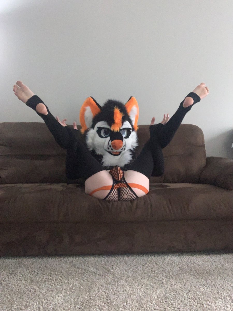 Miles Husky AD 🔞 tweet media