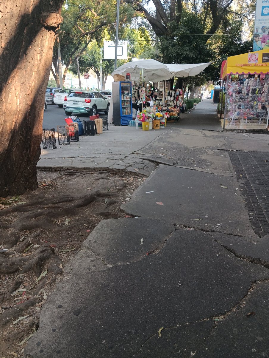 Comiteducacion's tweet photo. Y Cuando los de Taxqueña, mesas van, mesas vienen y tanto el secretario  @craviotocesar como el subsecretario @AdolfoLlubere les dan largas a los vecinos de la zona
@AcProcoyoacan @LaCampestre_Ch @Comiteducacion https://t.co/PgcYXJjZpS