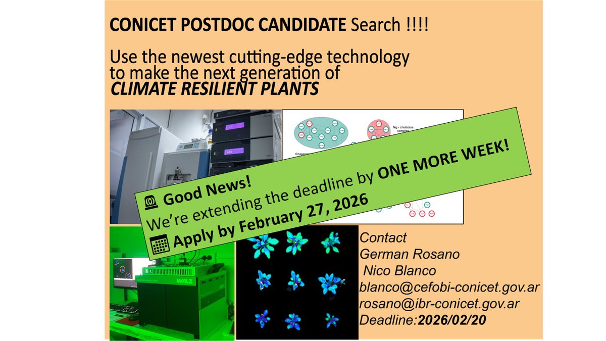 SocArgFisVeg's tweet photo. 🌱Busqueda de candidatx beca postdoc CONICET
Seeking candidates for a CONICET postdoctoral fellowship
Ultima Semana para mandarnos Cv y carta de motivación. Info en FY:
German Rosano / Nico Blanco #postdoc #conicet #climateresilient #plants #cpUPR" @NicoEBlanco @GermanRosano https://t.co/eHJ6YbpyEi