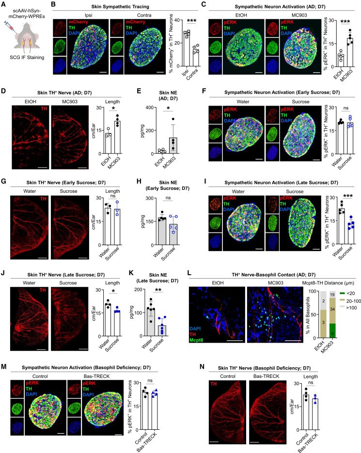 Waggoner Lab tweet media