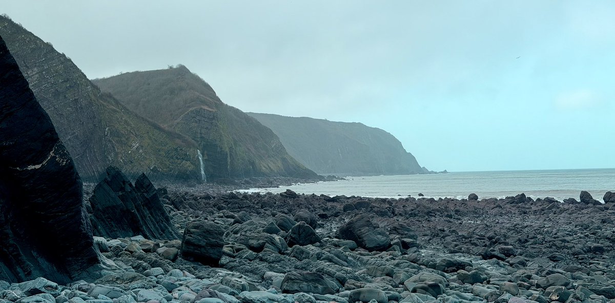 NDevonNature's tweet photo. First there was my whippet, then there was the family whippet. 2 very different beasts! Haven’t been here since I lost Wilson. It was easier back then! #mouthmill Forgot how much I liked it. https://t.co/WhGVHCzp3l