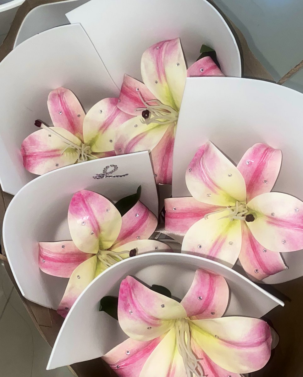 สาวน้อยร้อยอาชีพ