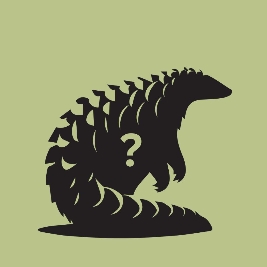 PangolinSG's tweet photo. We also want to highlight all of the emerging research on pangolins! Two potential new pangolin species have emerged in the past few years, and research on them is still underway. 

We applaud everyone who has worked on these discoveries, and are excited to see where they lead!👏 https://t.co/orO5r6twYs
