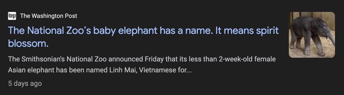 What makes $LinhMai so special is that she's the first elephant born at the National Zoo in 25 years.

Her ultrasounds were on The Today Show. Her birth was in the Washington Post, ABC, NBC, CBS, Politico, AP, everywhere.

Her naming raised $58,000, the highest amount ever raised