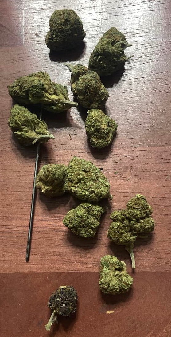 Sof y Alexx SW tweet media