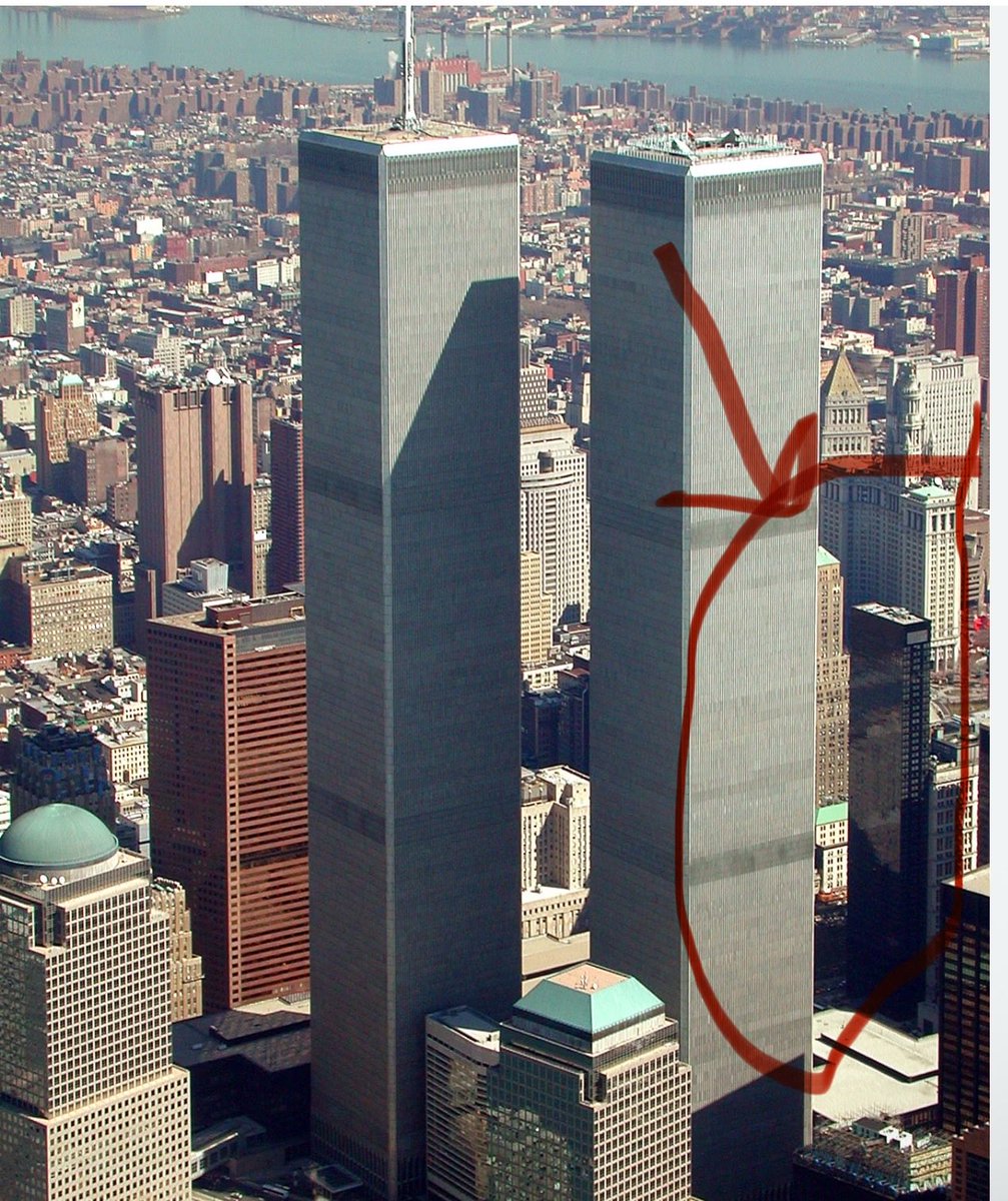 Owen Benjamin 🐻 tweet media