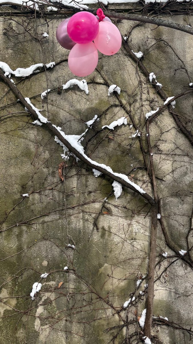 📲 Kristine Froseth via IG stories