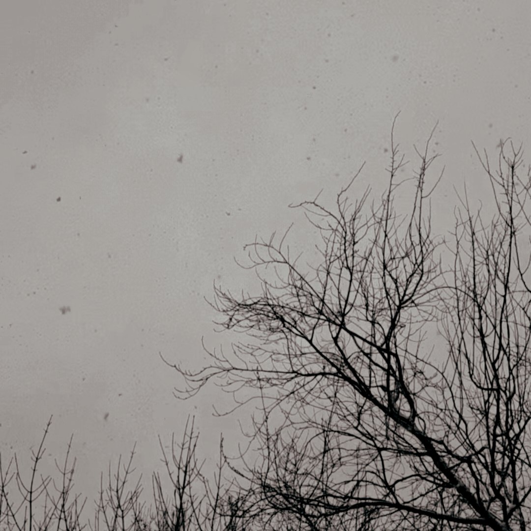 April Vixxi⁷ tweet media