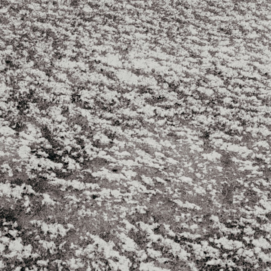 April Vixxi⁷ tweet media