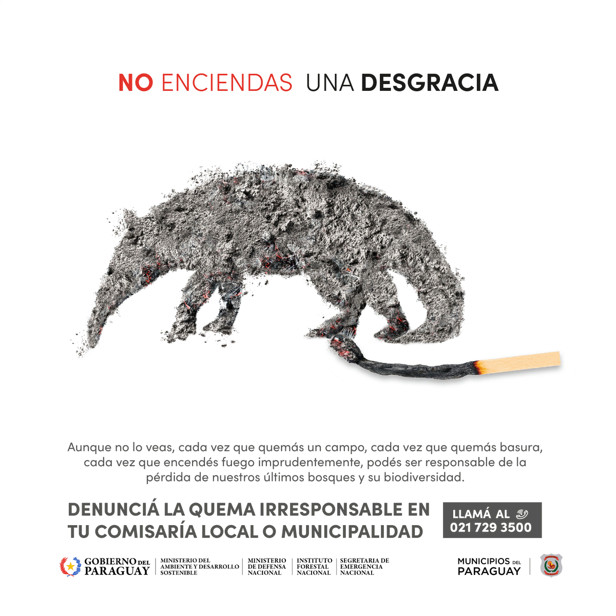 voceriaparaguay's tweet photo. 🔥🍃 Cada año, la quema irresponsable de bosques y basura deja sin hogar a miles de animales.
Protejamos la vida silvestre y nuestros ecosistemas.
No enciendas una desgracia.
🦝🌿 #AniRehaPy #NoQuemesPy #NoEnciendasUnaDesgracia https://t.co/kiB30qscz1