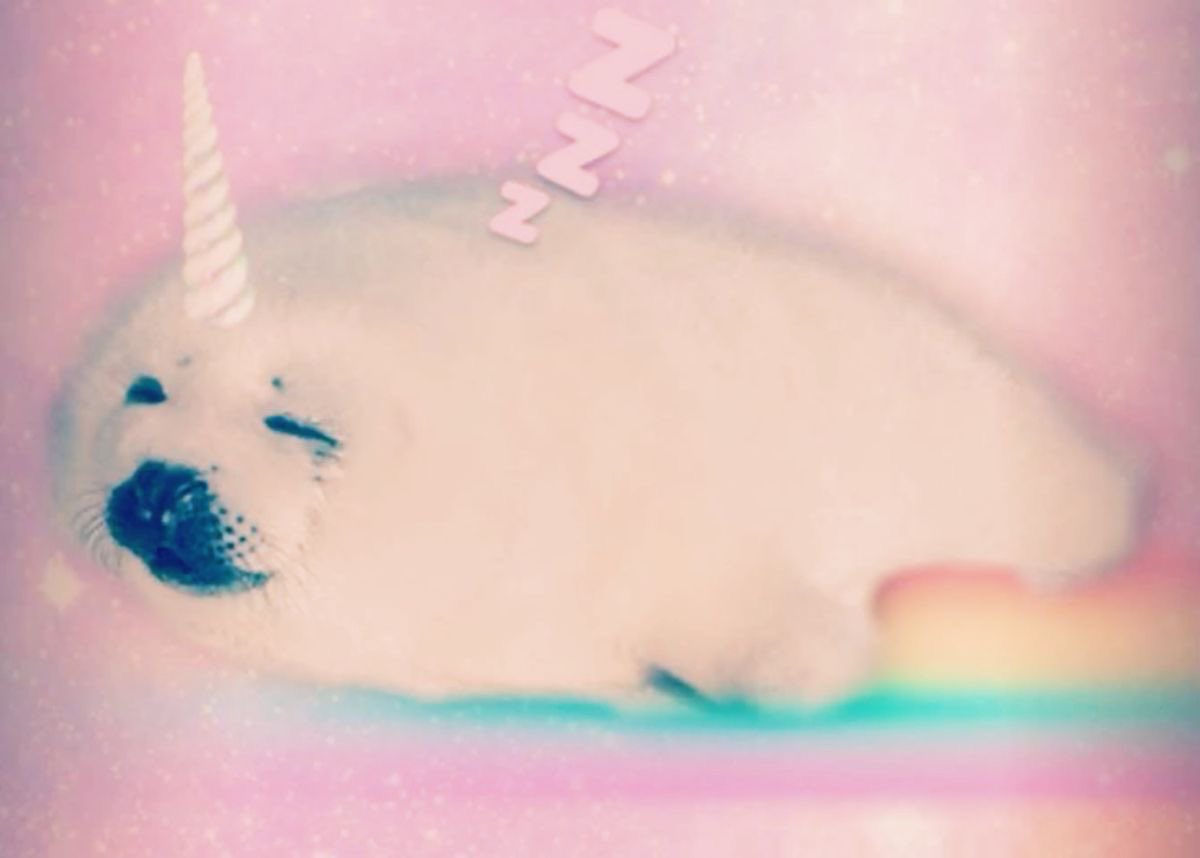 pervertedle's tweet image. pinterest first 4