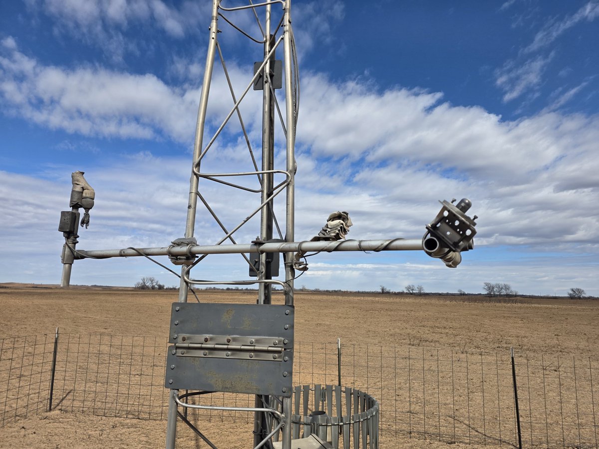 Jake Thompson tweet media