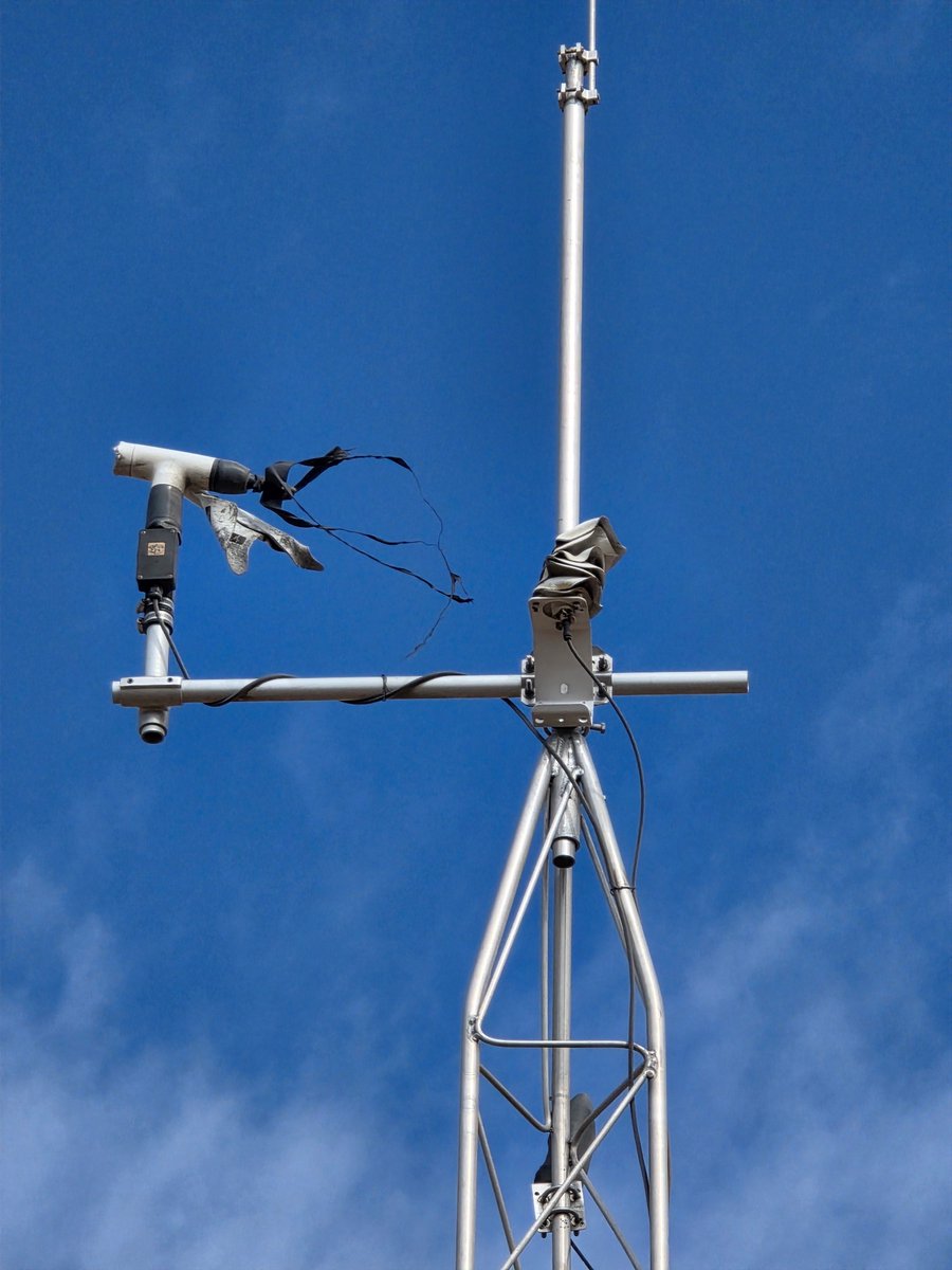 Jake Thompson tweet media