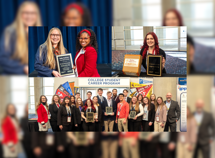 Poultry Times tweet media