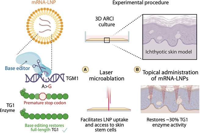 Mike Mitchell tweet media