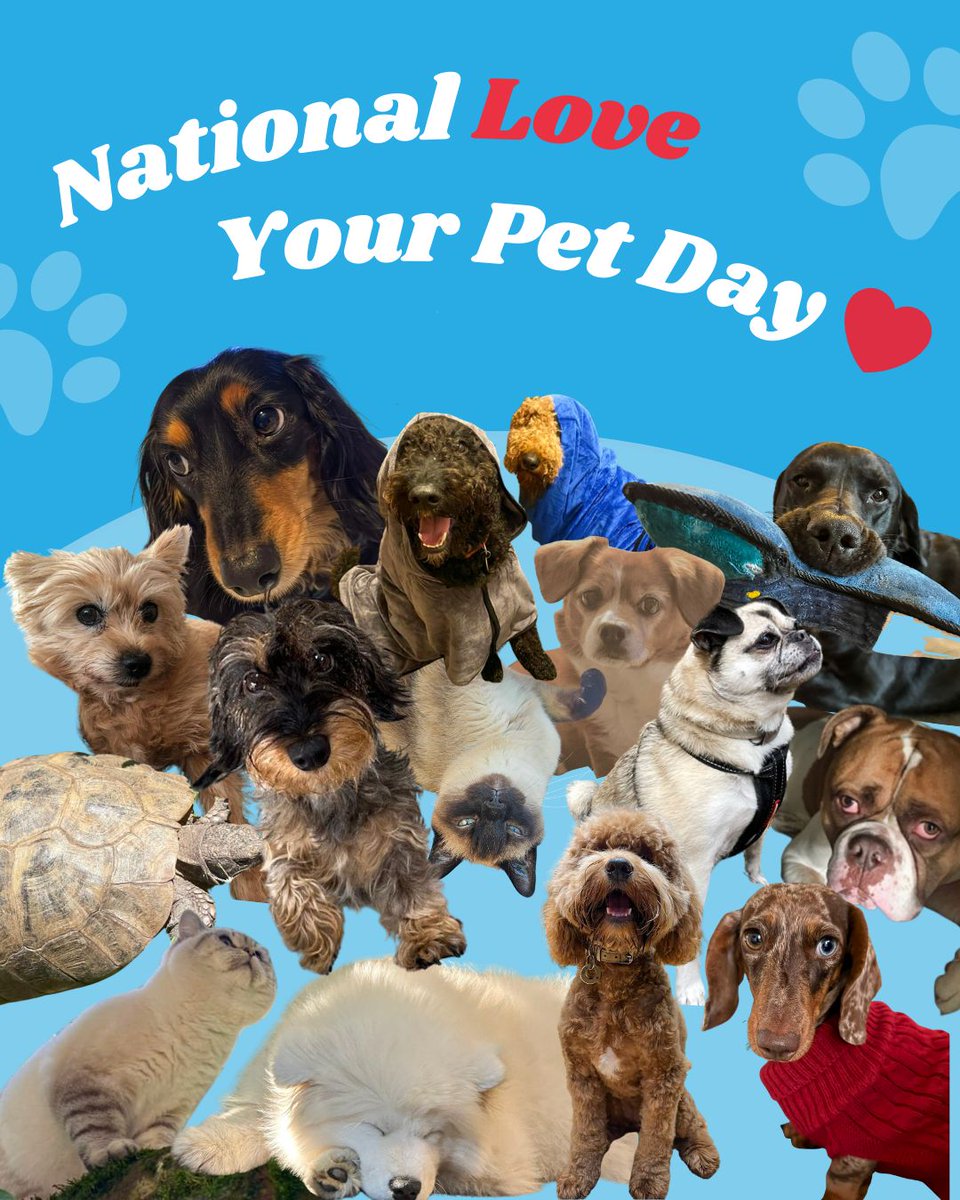 Bay Media tweet media