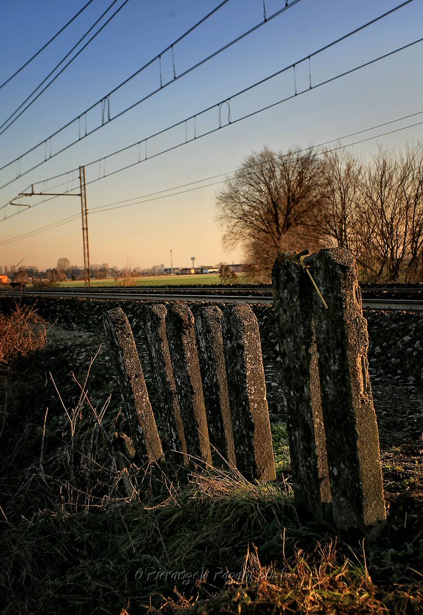 @ferrarisergio4 tweet media