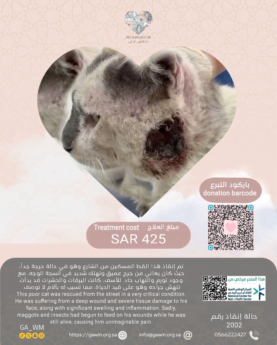 جمعية تعايش معي للرفق بالحيوان tweet media