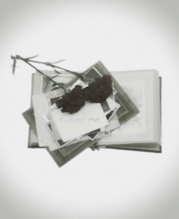 𝗔𝗿𝗶𝗮 tweet media