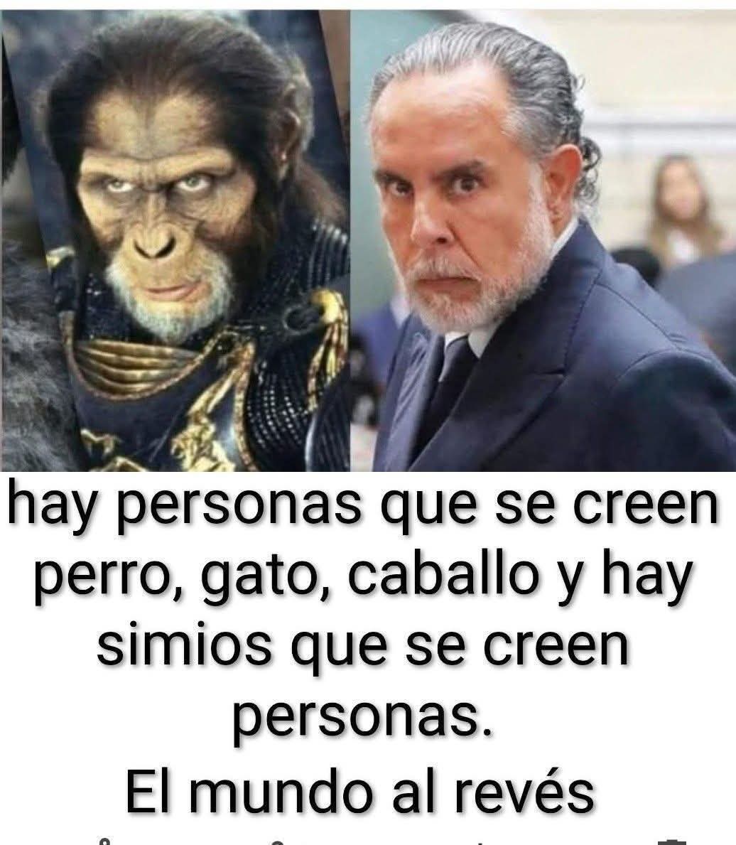 Mayitopalacio tweet media