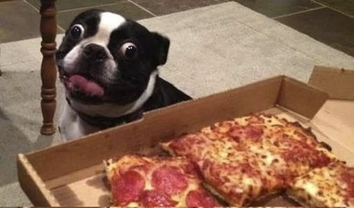 dorafigueiredo's tweet photo. Hoje ninguém vai precisar guardar pedaço de pizza pra ninguém!
Porque é sexta e tem #PedePraSextar na 99Food: 🍕🍕PIZZA POR R$9,99!!!🍕🍕
TODA SEXTA, das 18h às 23h, é assim: virou a hora, abriu nova rodada! Vai no app da @voude99 e se programe pra pedir: https://t.co/WLa0jkv4Xt
#PedePraSextar99Food *Publi