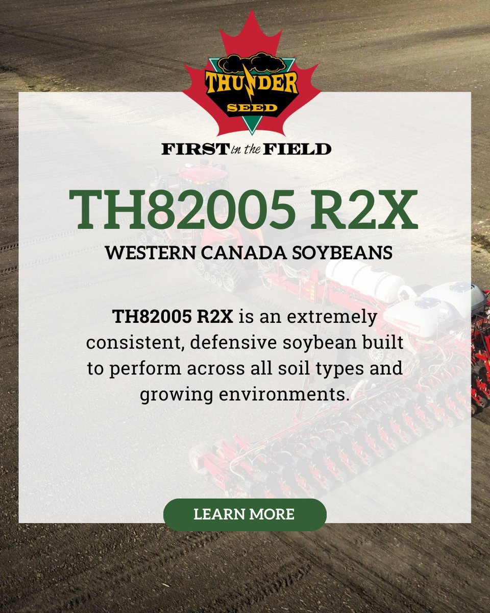 Thunder Seed tweet media