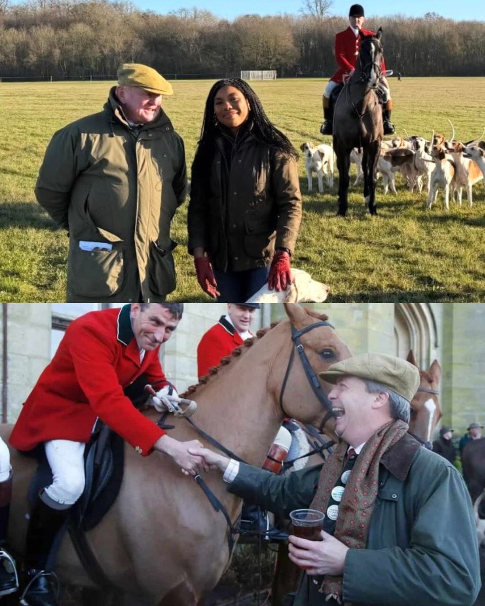 Protect the Wild tweet media