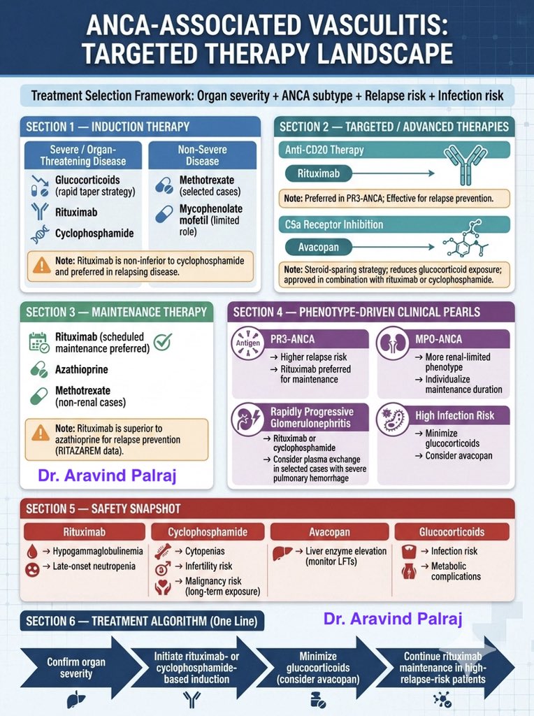 Rheumat_Aravind's tweet photo. ANCA-associated vasculitis management has shifted.

It’s no longer steroid-heavy by default.

Severe disease → Rituximab or Cyclophosphamide
Relapsing / PR3-ANCA → Rituximab preferred
High infection risk → Minimize steroids; consider Avacopan

Steroid-sparing is the new standard.

#Vasculitis #ANCA #Rheumatology #Avacopan #Rituximab @DrAkhilX @IhabFathiSulima @DurgaPrasannaM1 @DocPriyamMD @ArunKumarKedia2 #Glomerulonephritis #AutoimmuneDisease #MedEd #RheumTwitter