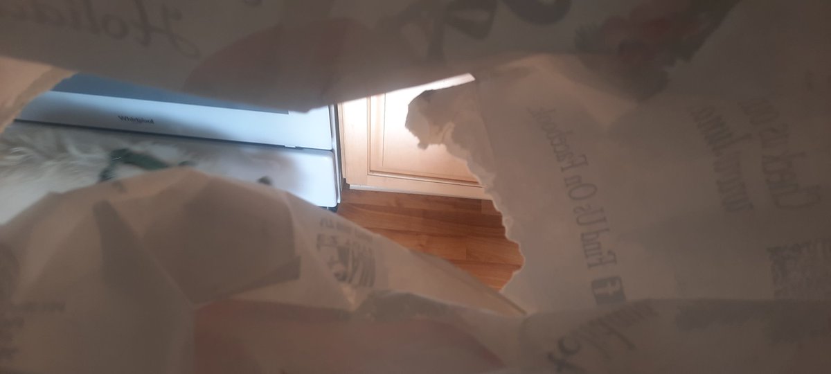Garcelon's tweet image. This #paperbag law is going great. Last week was eggs. Today it was dinner. You either double or triple bag and use 3X more or we can get practical. Frozen items have zero shot.