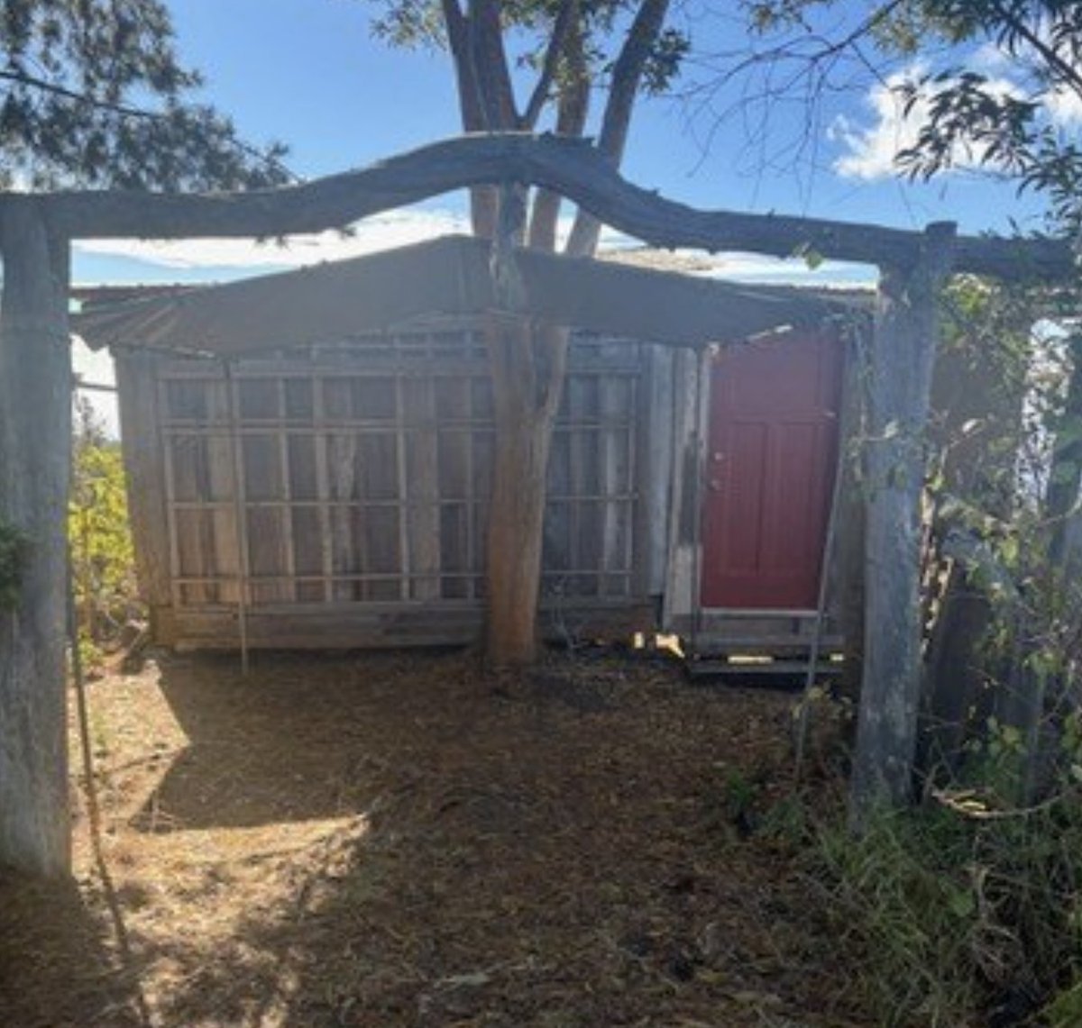 oldhouseunder50's tweet image. $99,000
#Oceanviews and multiple buildings come with this 1 #acre #Hawaii off-grid property on the #BigIsland.  oldhousesunder100k.com/big-island-haw…