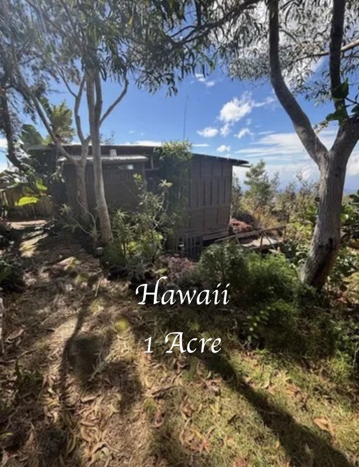 oldhouseunder50's tweet image. $99,000
#Oceanviews and multiple buildings come with this 1 #acre #Hawaii off-grid property on the #BigIsland.  oldhousesunder100k.com/big-island-haw…