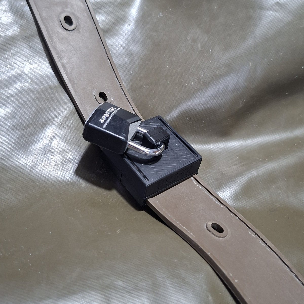 universal_kink tweet media