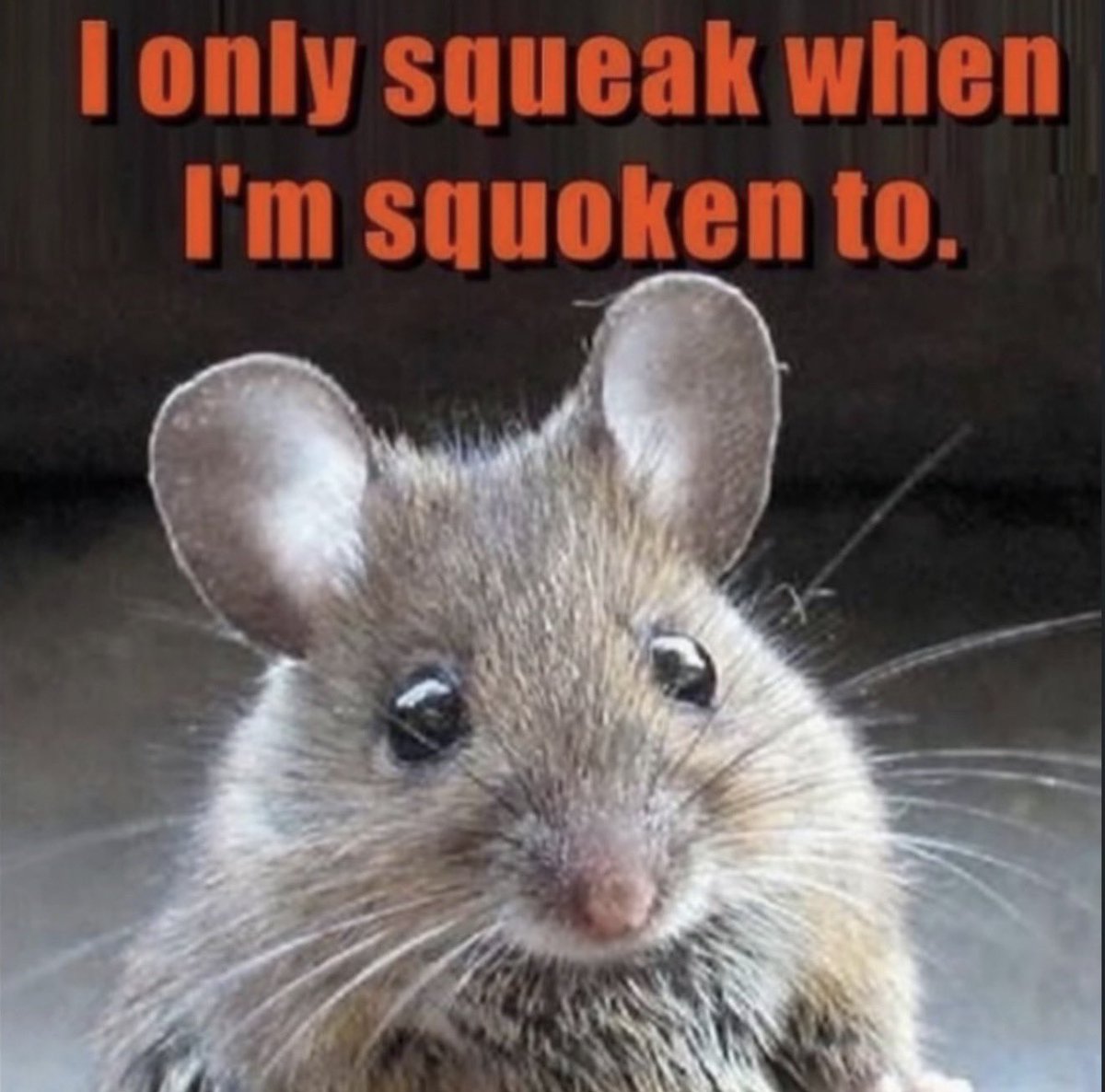 alob 🥀ᘛ⁐̤ᕐᐷ (@alob_e) on Twitter photo 