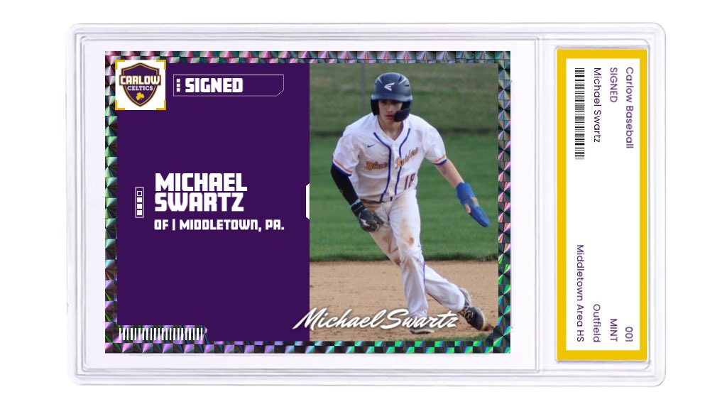 CarlowUBaseball tweet media