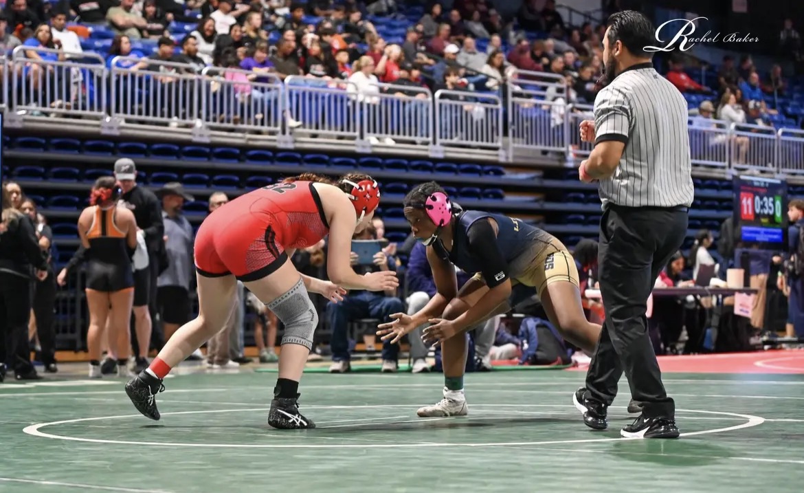 Progress Times tweet media