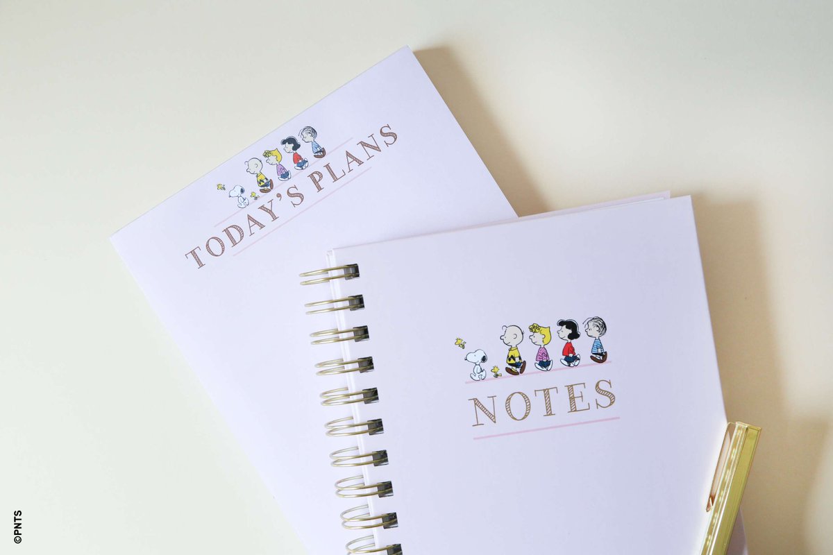 Calling all Snoopy fans! 🤍 We’re loving this sweet stationary assortment at Maggie &amp; Stella’s. Stop in and take a look! #MaggieAndStellas #H2P