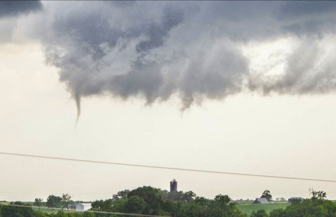 James Wilson tweet media