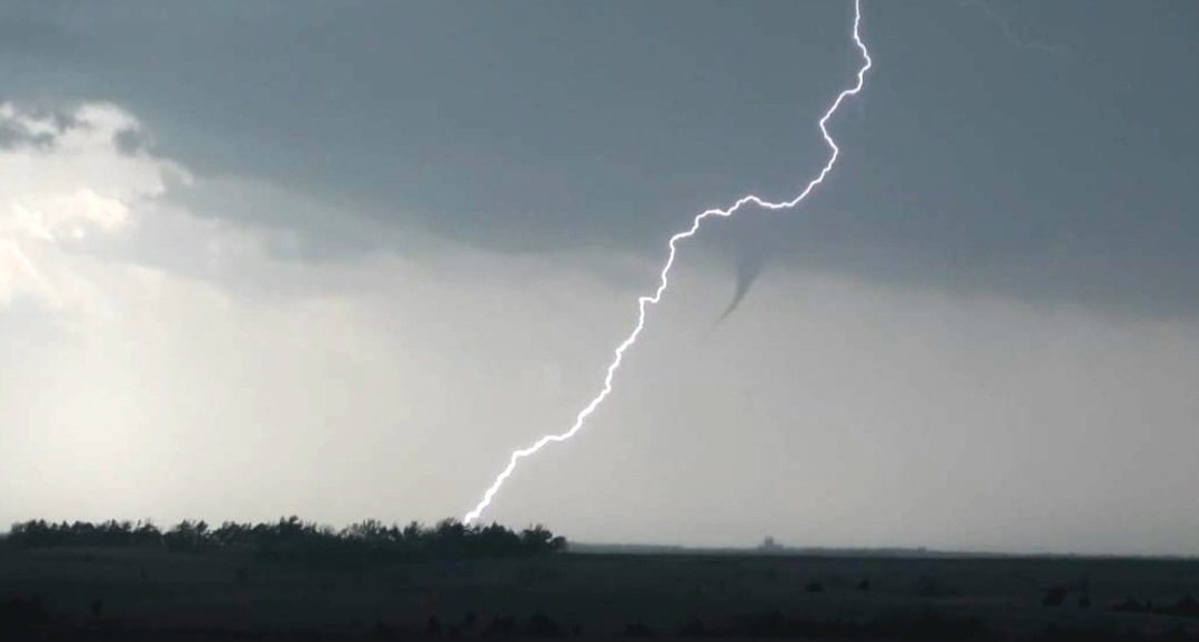 James Wilson tweet media