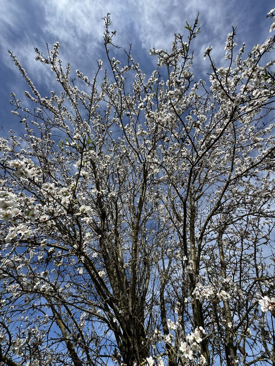 ⚡️Sergio González tweet media