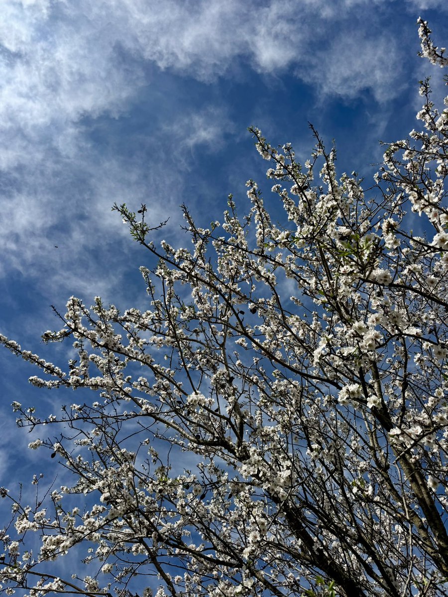 ⚡️Sergio González tweet media