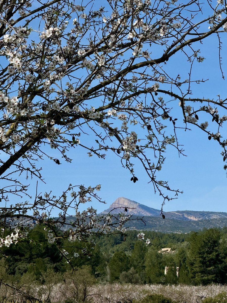 ⚡️Sergio González tweet media