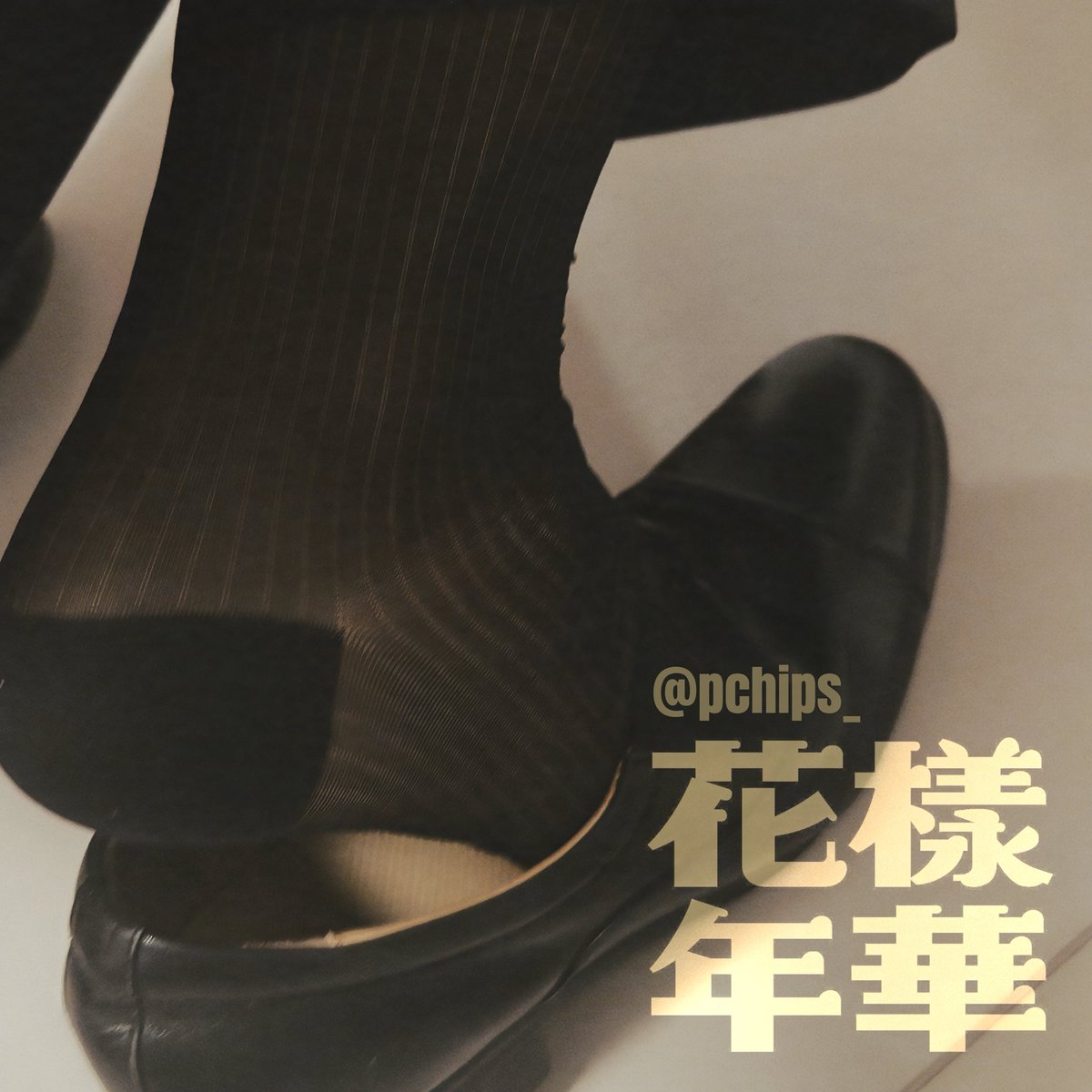 pchips_'s tweet photo. https://t.co/fWWnMteRlj
