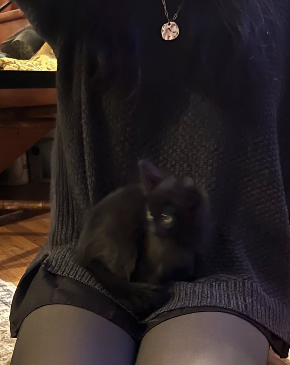 blackscats's tweet photo. https://t.co/sxEHHsVkJs