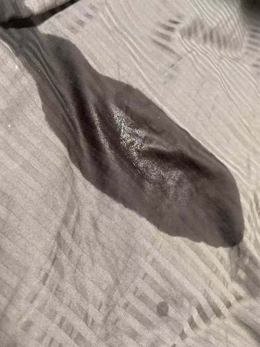 miu miu 小姐 tweet media