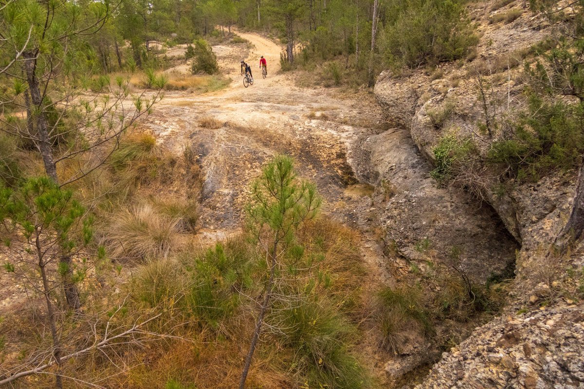 Consolacion Hotel tweet media